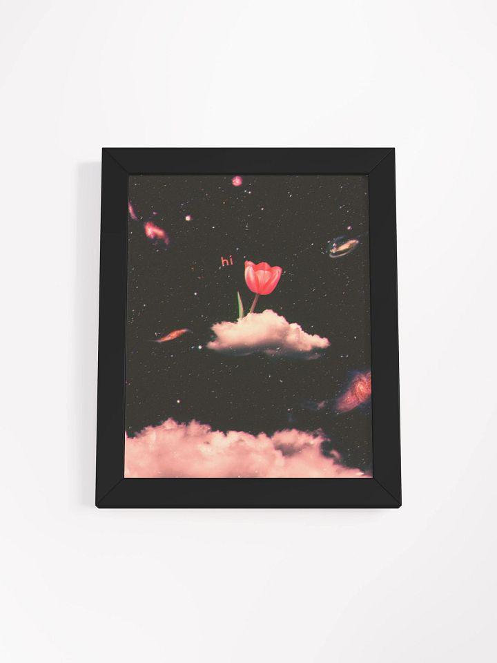 hi product image (4)
