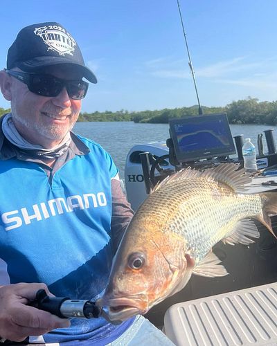 So stoked !! 
One of my favourite fish to eat. 
Finger Mark or Golden snapper beautiful fish. 
Gosh these fish pull hard. 

P...