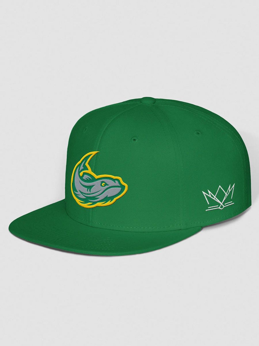 Mississippi Mudcats Gridiron Clothing Snapback Hat product image (4)