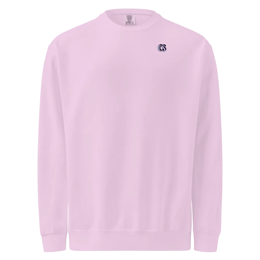 CS SweatShirt product image (29)