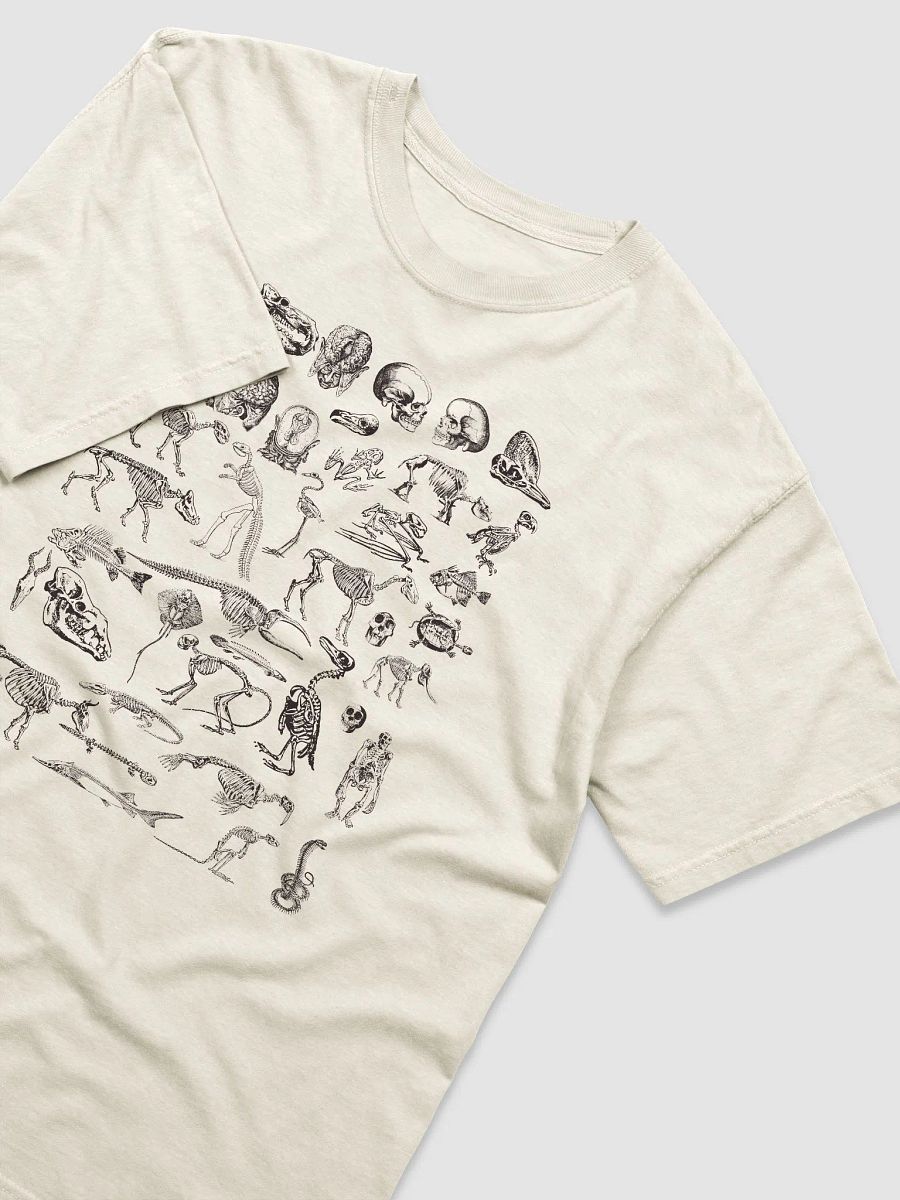 Vintage-Style Human and Animal Skeletons T-Shirt | Vintage-Style Dark Academia Shirt for Osteology and Anthropology Enthusiasts product image (13)