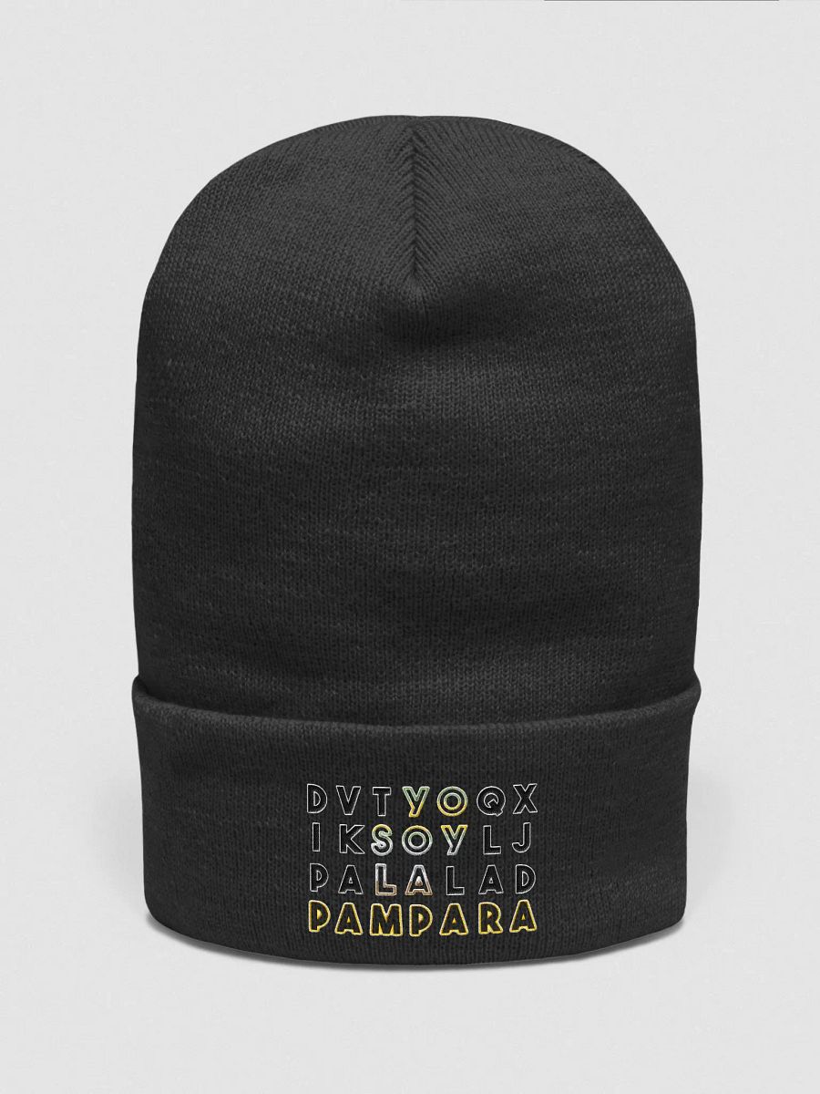 BEANIE -PAMPARA product image (1)