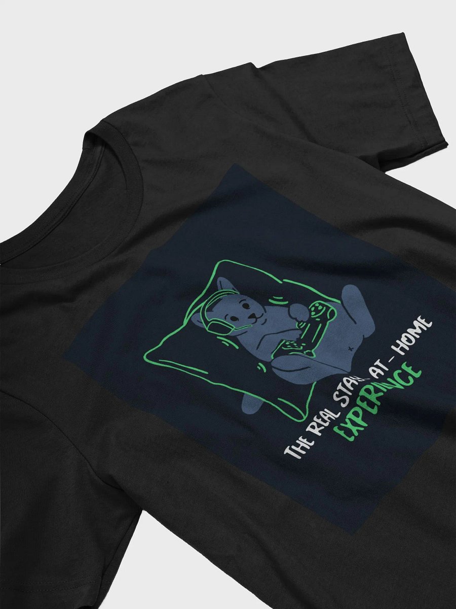 The Real Stay At Home Experience TShirt product image (3)