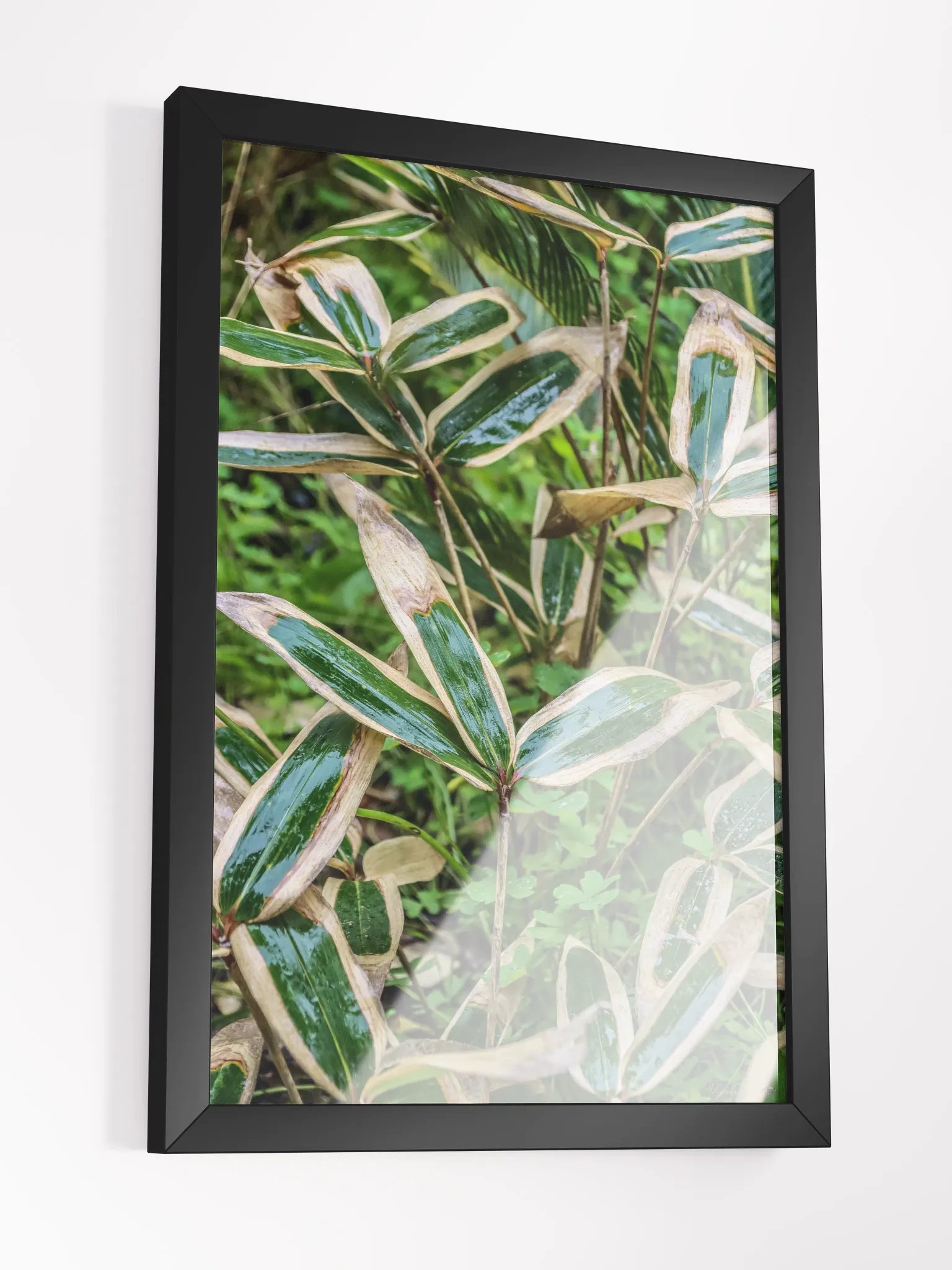 🍃 Print Fine Art – Wrinkled Kimono of the Bamboo Samurai 🎴✨ product image (6)