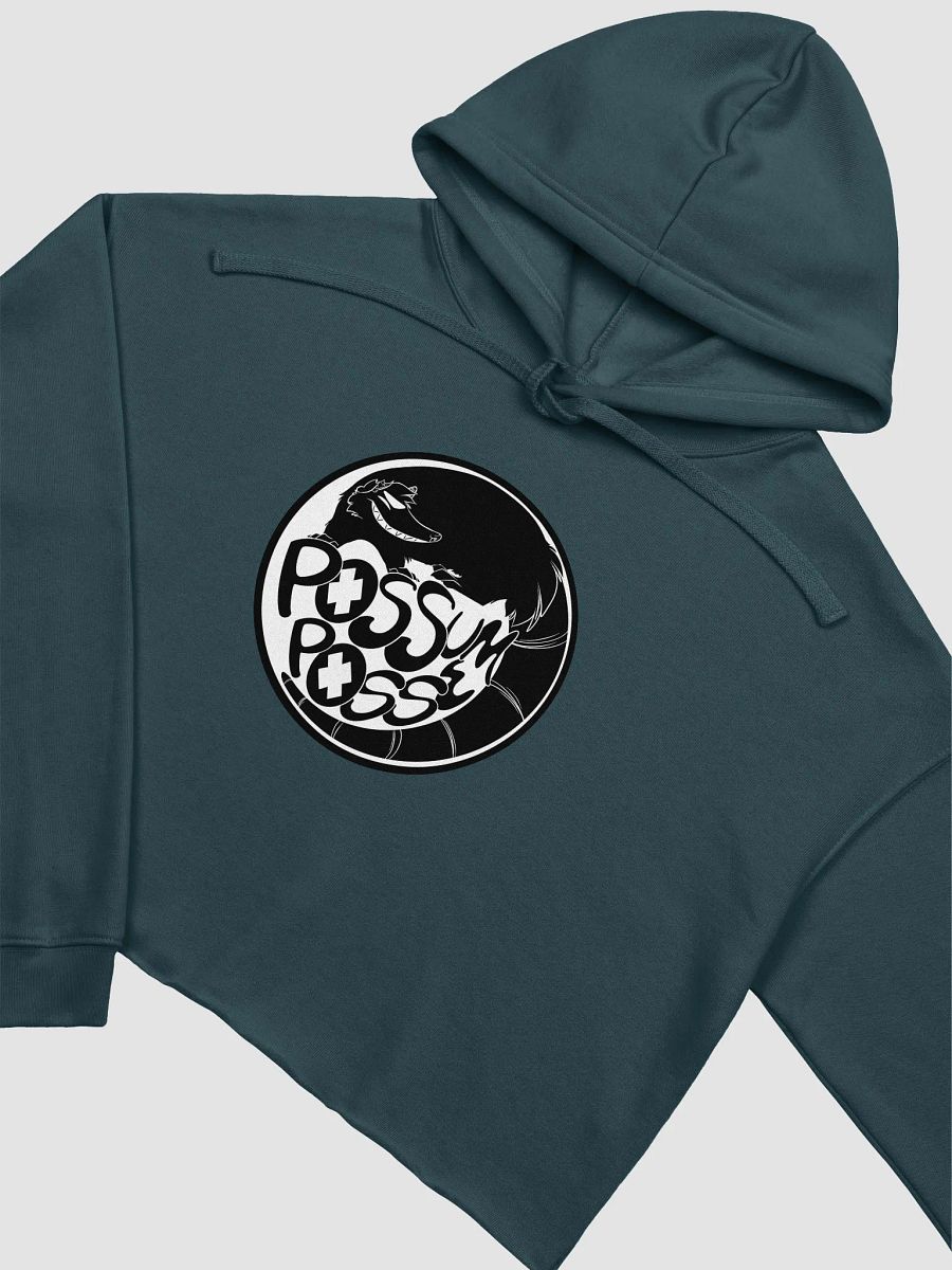 Possum Posse Crop Hoodie BLK product image (3)