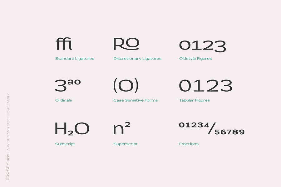 Prose Sans | A Wide Sans Serif Font Family product image (7)