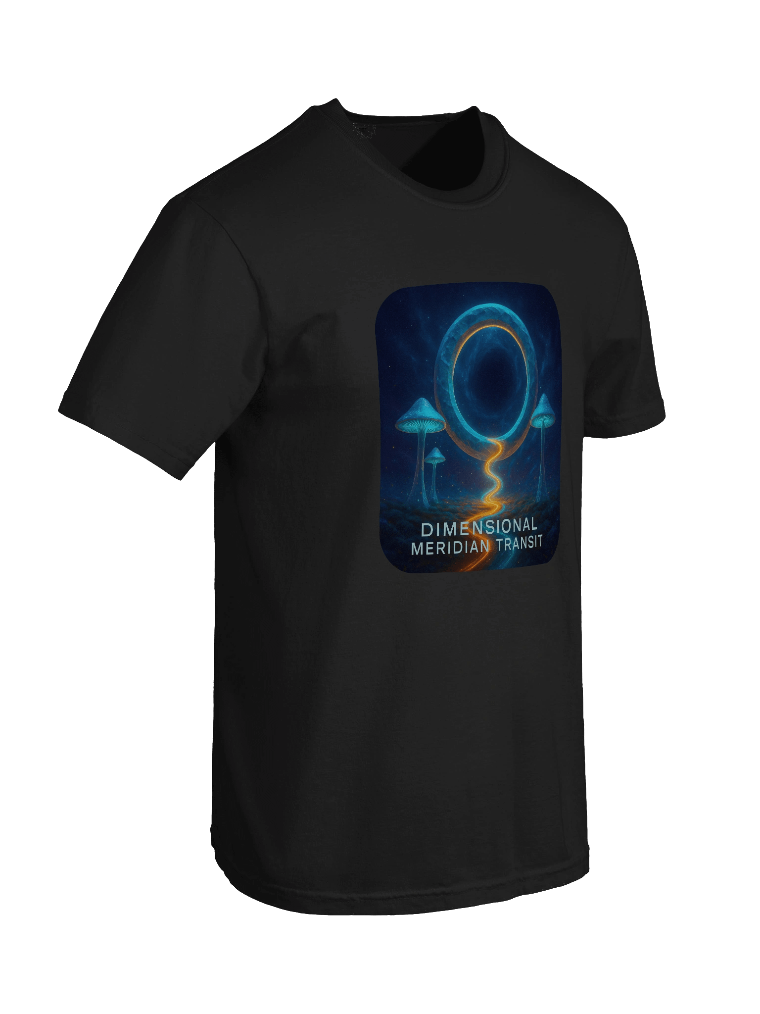 Dimensional Meridian Transit Tee product image (66)