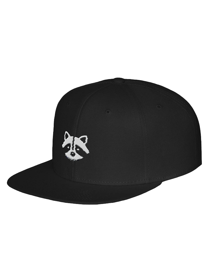 logo snapback product image (2)