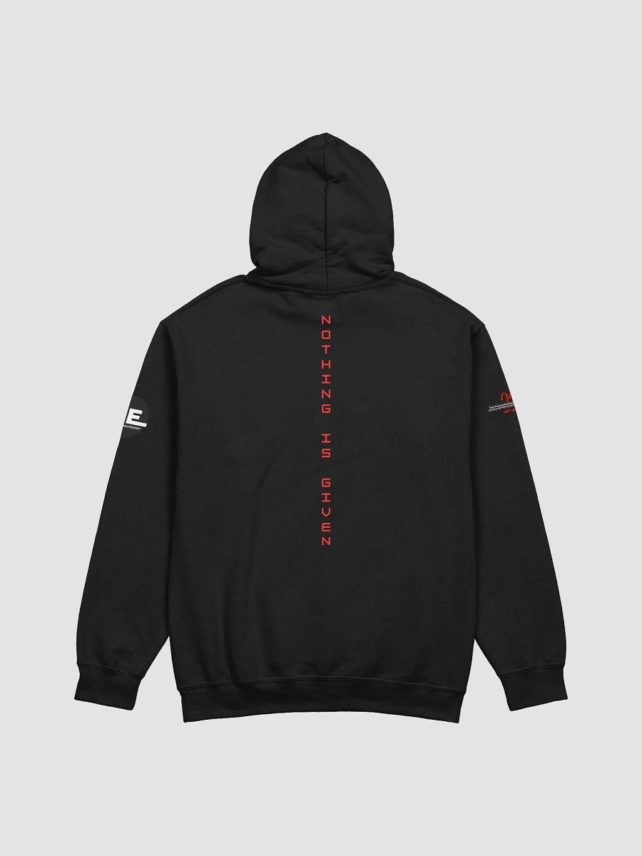 NOTHING IS GIVEN product image (18)