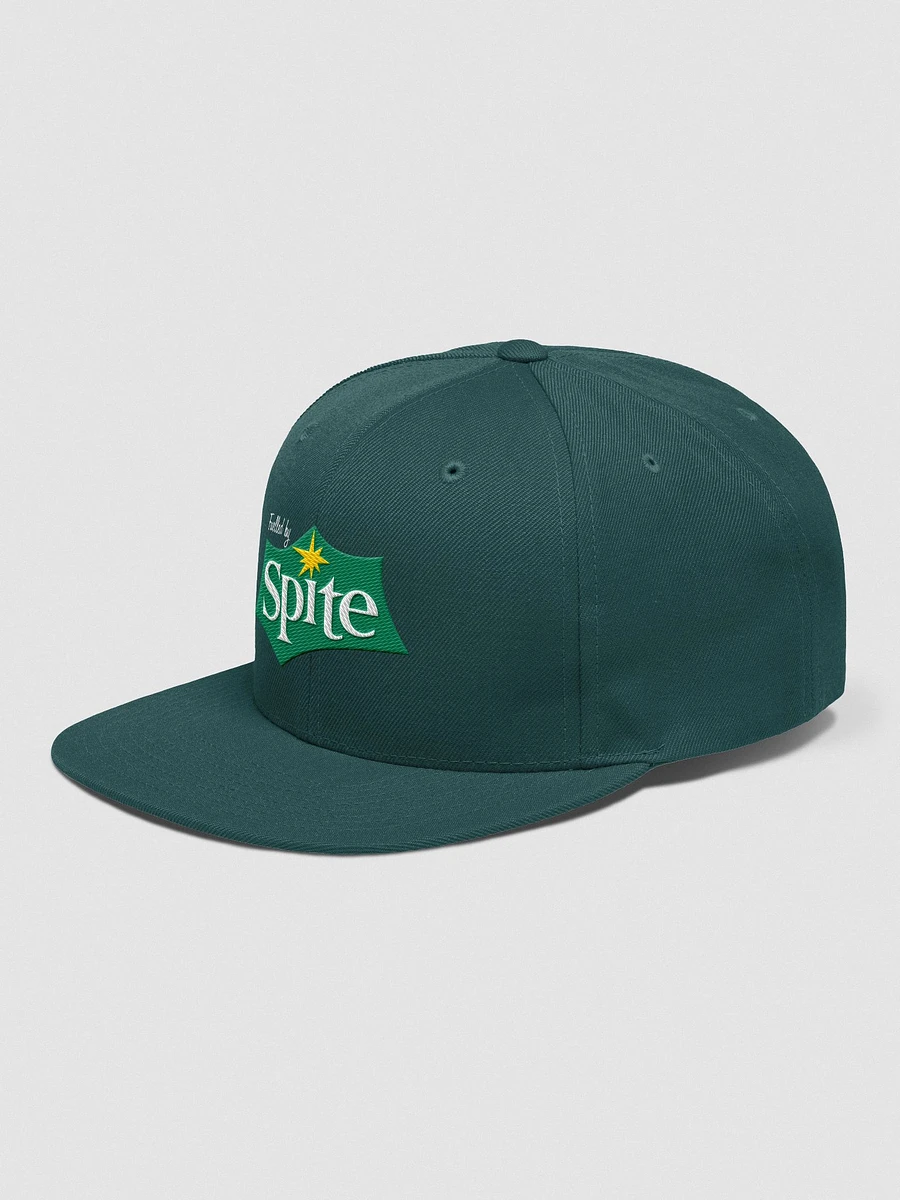 Fuelled by Spite - Snapback product image (10)