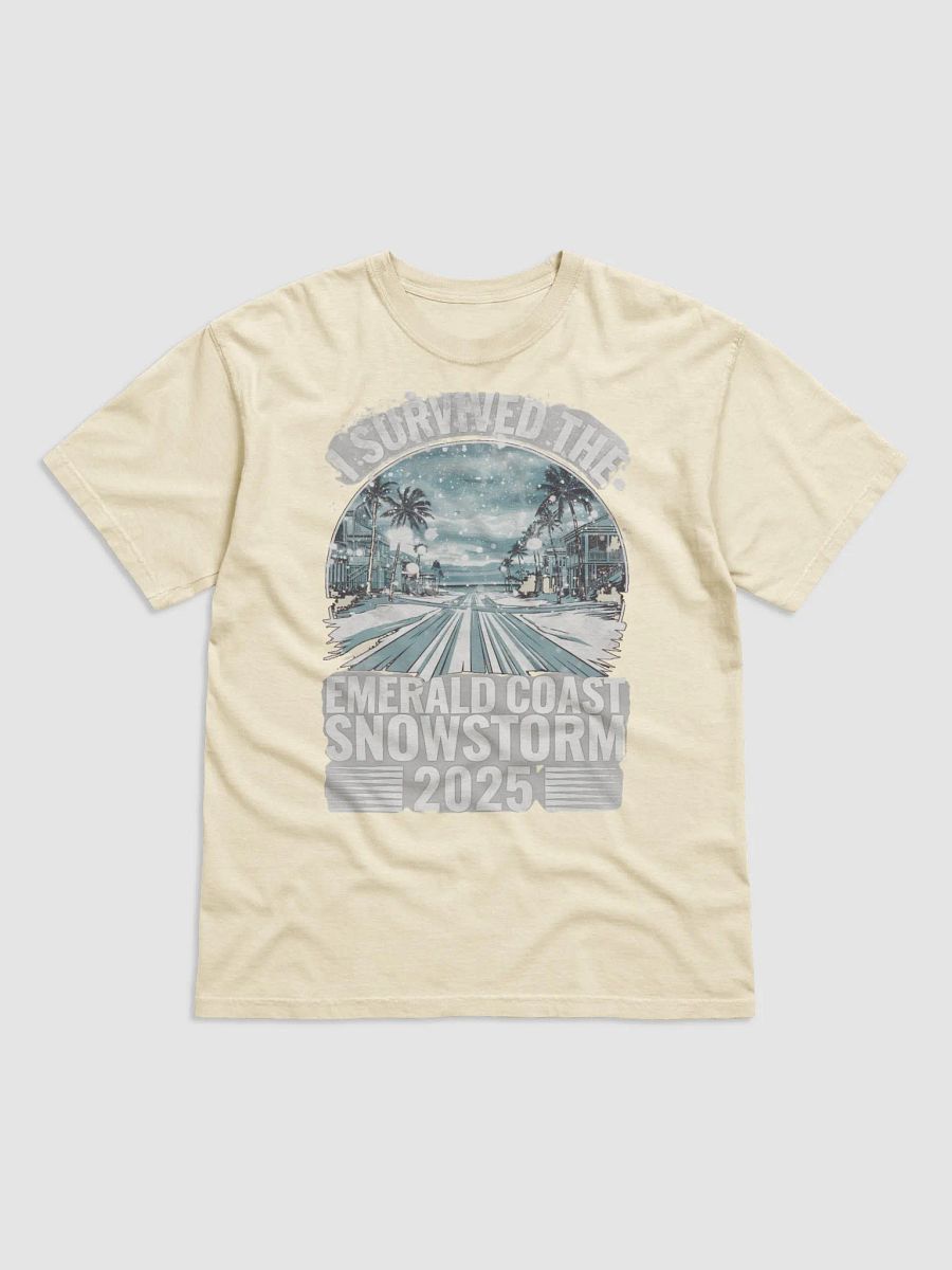 I Survived the Emerald Coast Snowstorm 2025 T-Shirt - Comfort Colors product image (1)