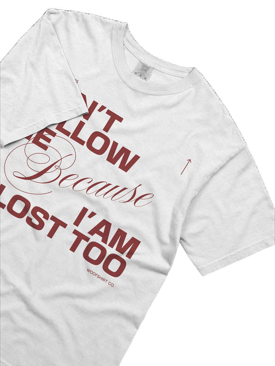 Don´t follow me | Comfort Colors Unisex T-Shirt product image (6)