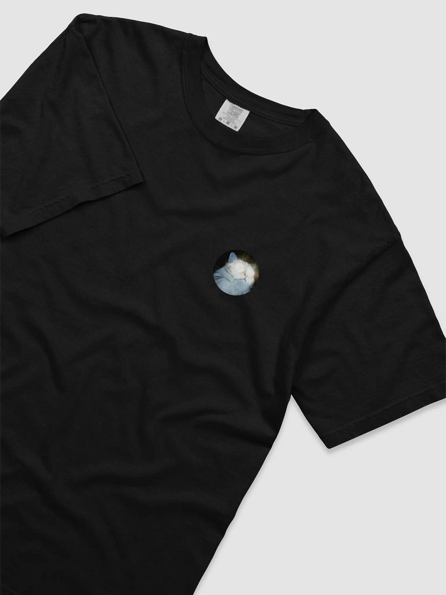 Tshirt product image (3)