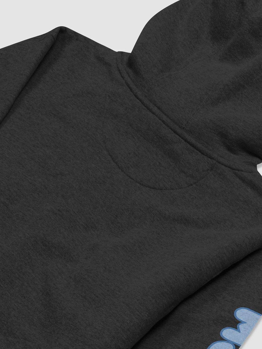 Ris Fam Hoodie product image (4)