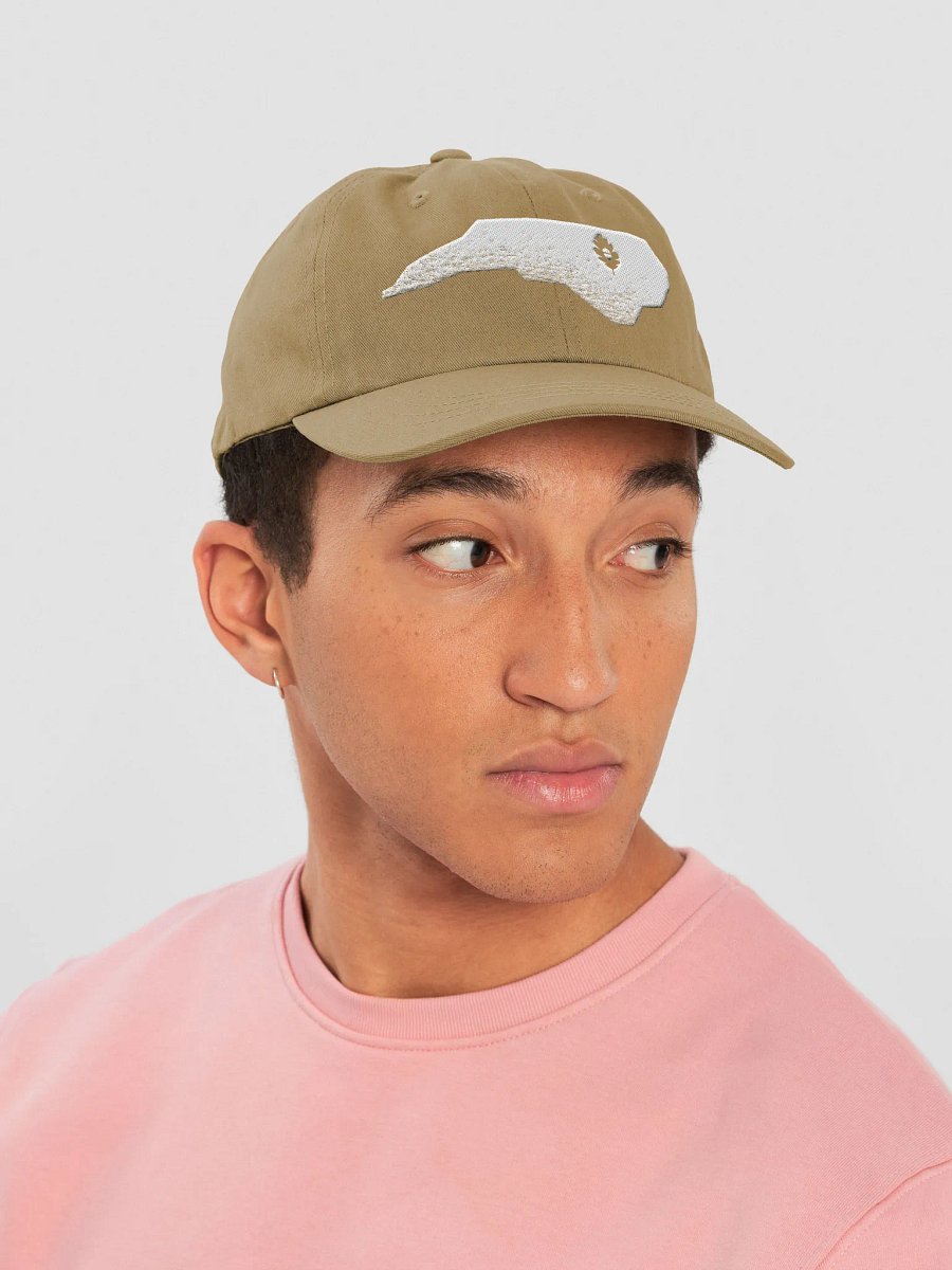 A+O State Outline Dad Hat product image (45)