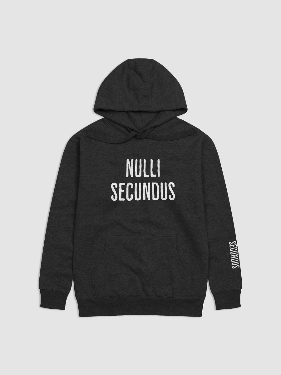 Nulli Secundus Hoodie product image (4)