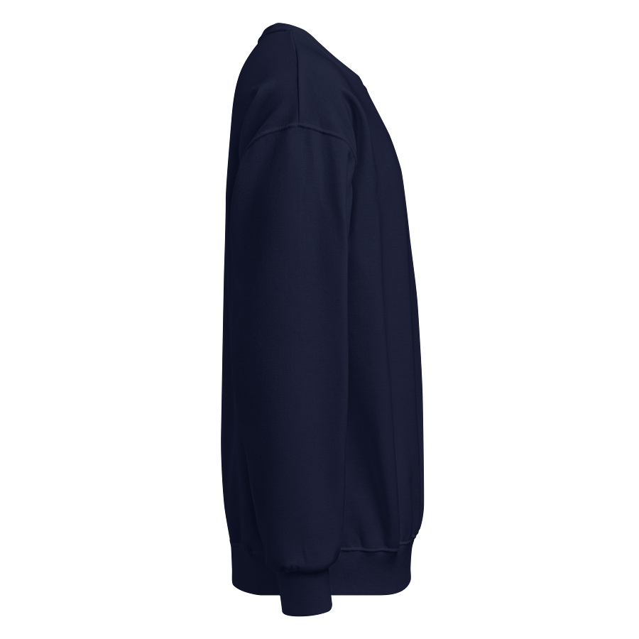 Urban Pigeon Embroidered Unisex Sweatshirt product image (12)