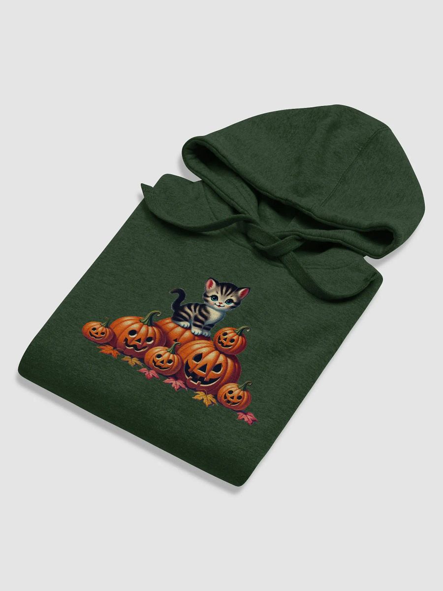 Halloween Kitten and Jack-o-Lanterns Premium Unisex Hoodie product image (18)