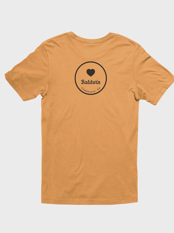Baldwin, Cambridge, MA Supporter T-Shirt - Unisex Sizes Bella+Canvas product image (26)