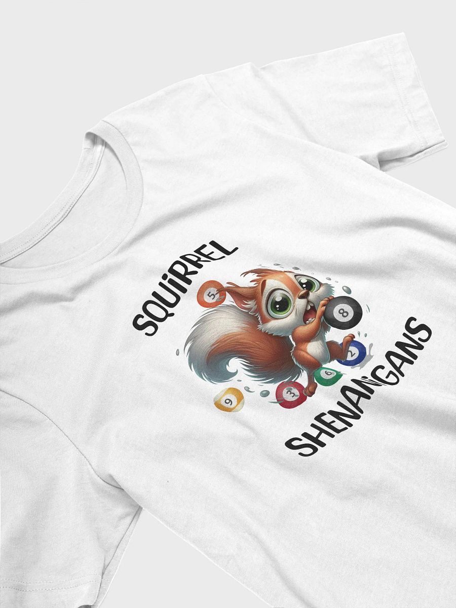 Squirrel Billiards Shenanigans Graphic Tee product image (74)