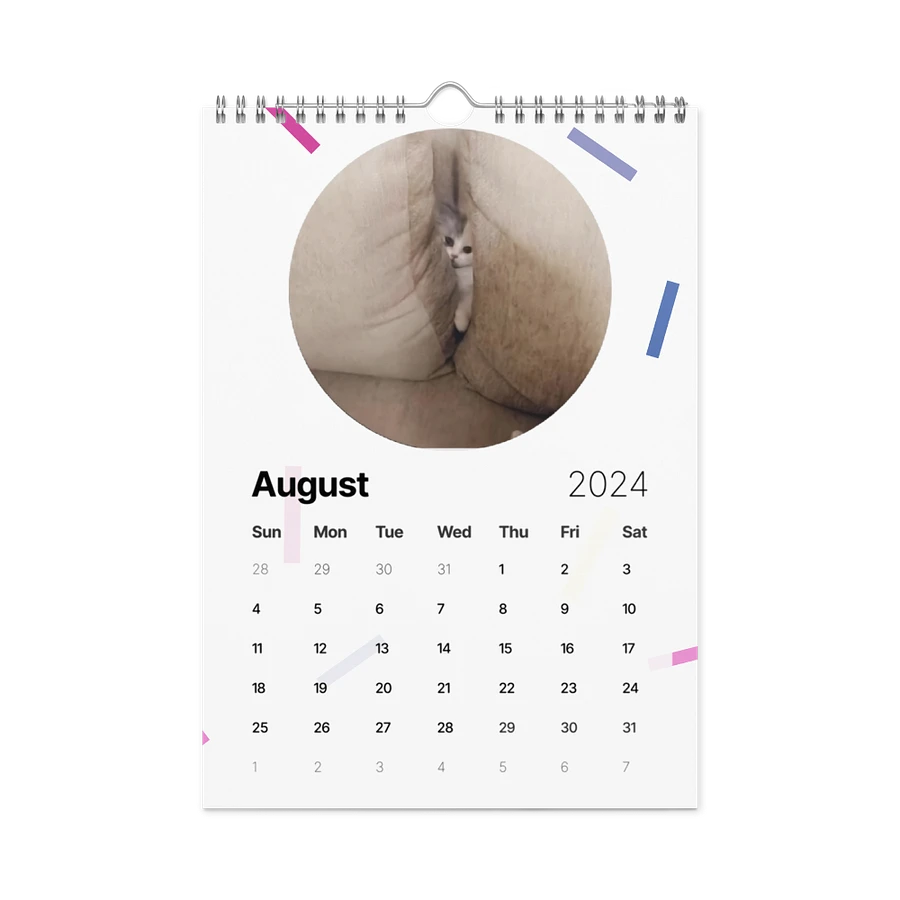 Wall Calendar (2024): Meme Cats product image (4)