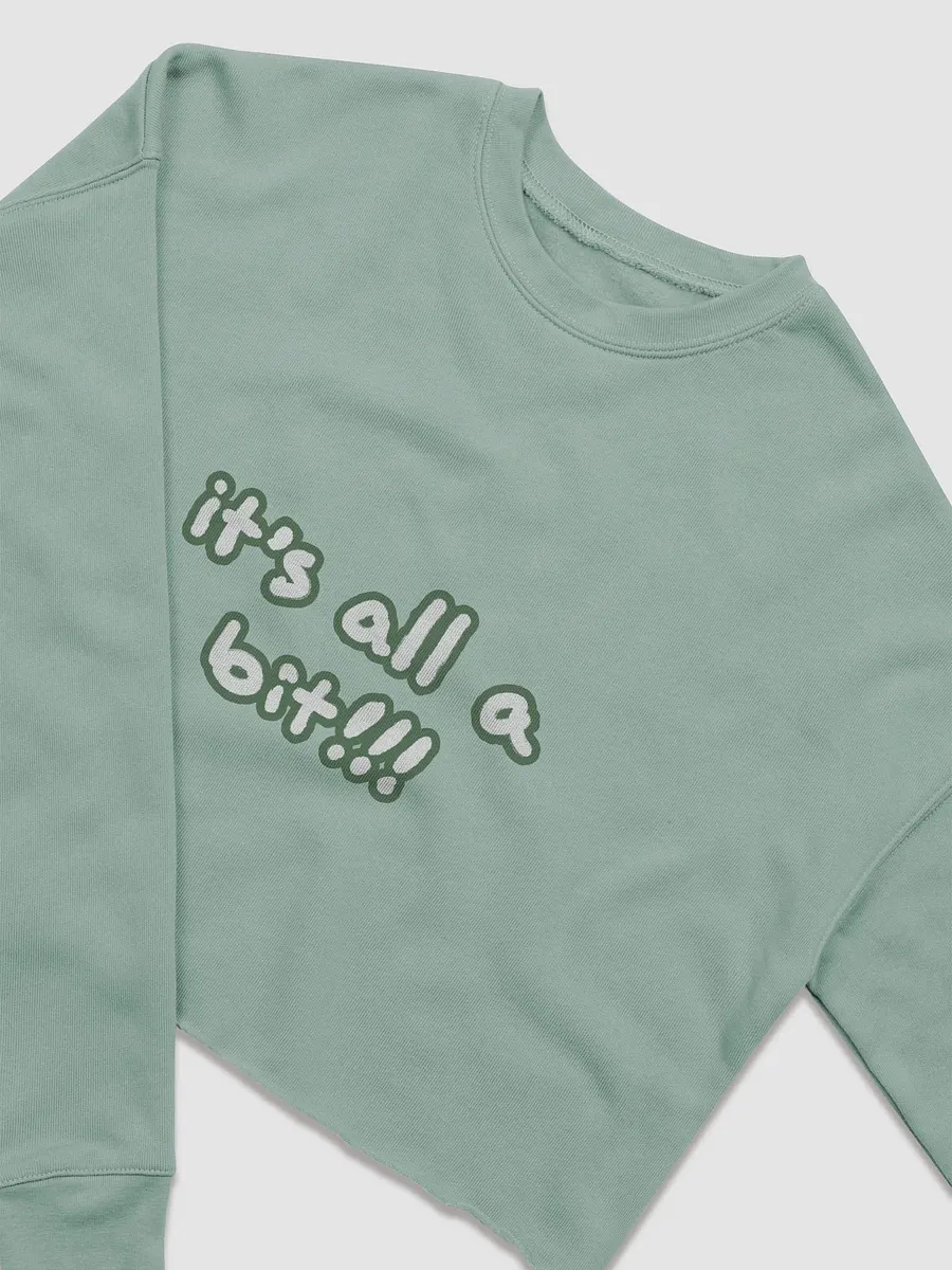 “It’s all a bit!!!” (sm. lined design, #527453) Women's Fleece Crop Sweatshirt product image (9)