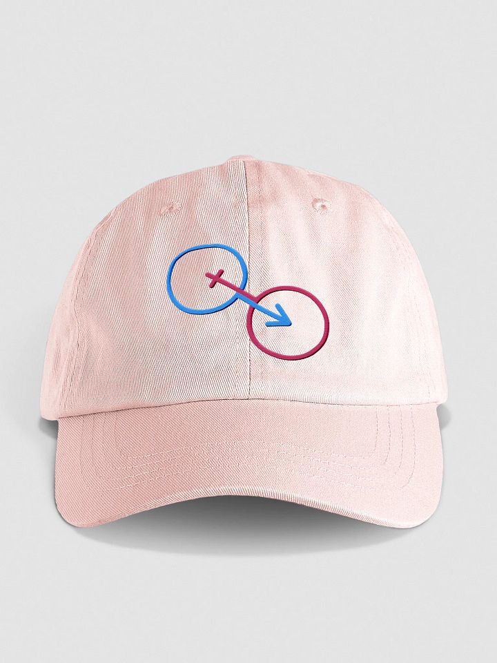 Unity of Traditional Genders Pastel Dad Hat product image (1)
