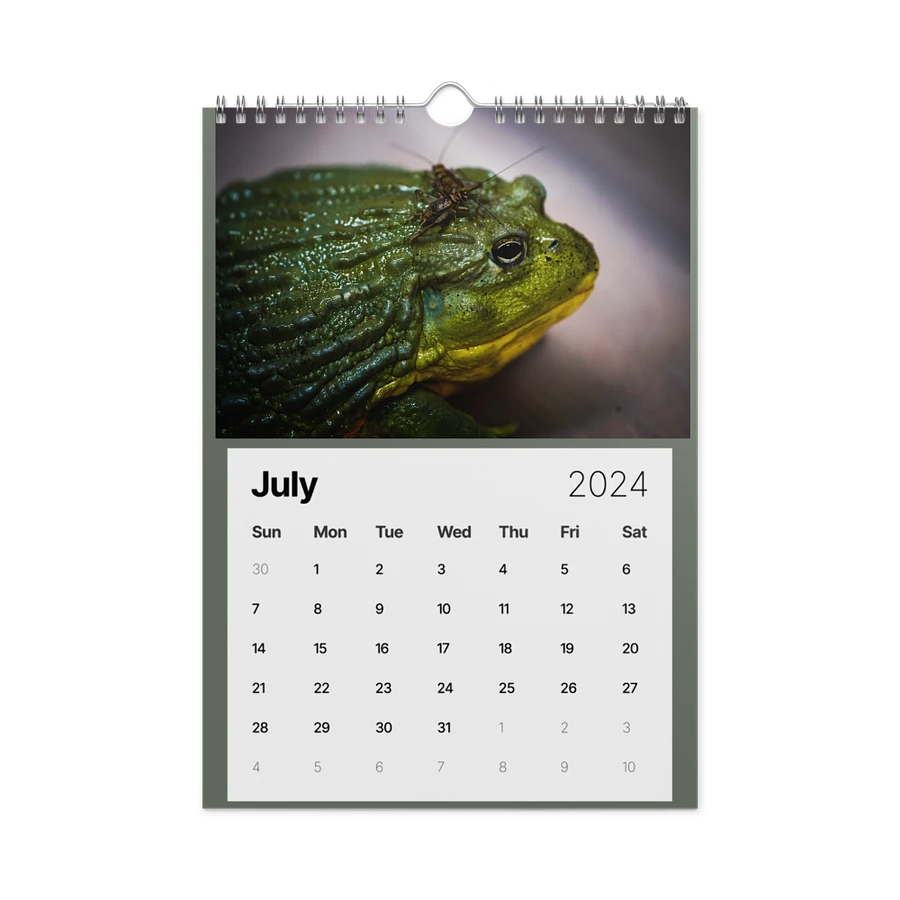 Alveus 2024 Calendar product image (12)