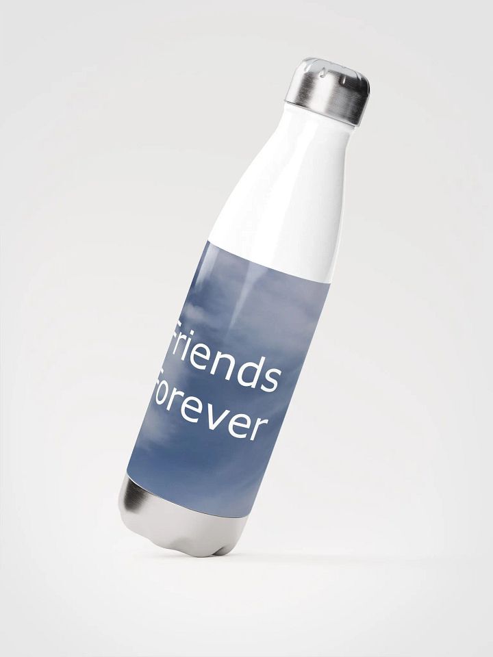Friends Forever Water Bottle product image (2)