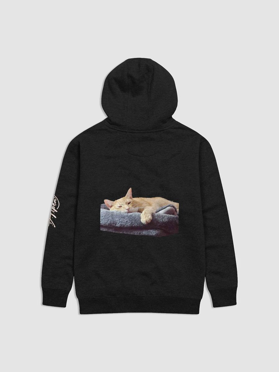 Team Otis Hoodie product image (2)