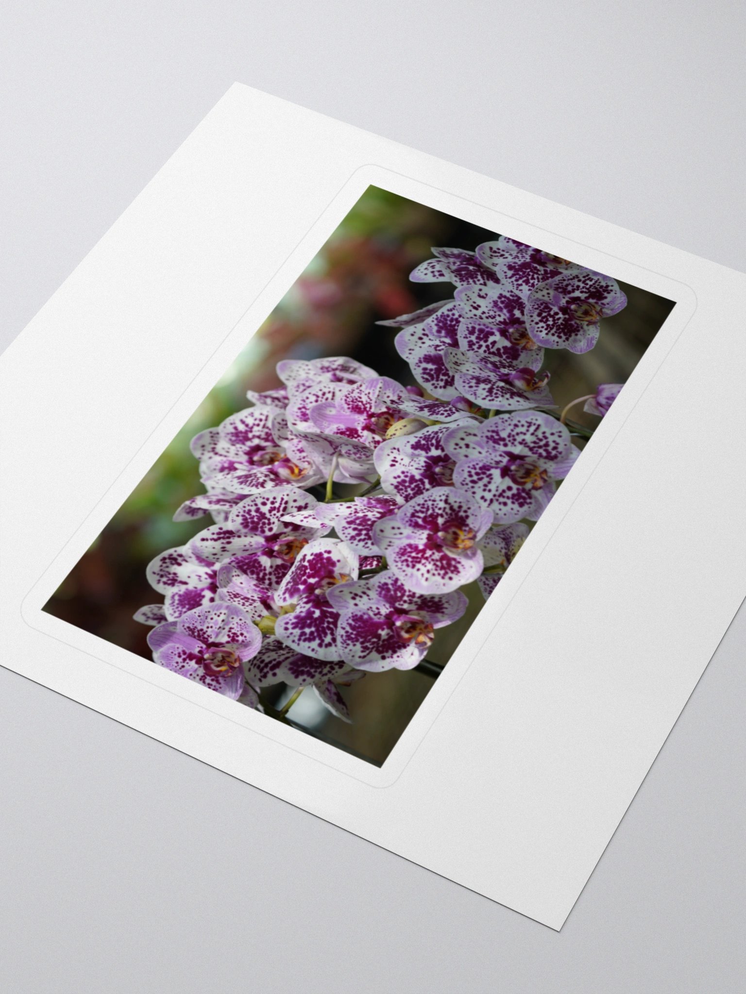 Orchid Splendor Kiss Cut Stickers product image (3)