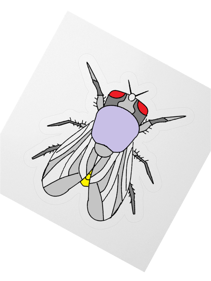 Whimsical Fly Kiss Cut Stickers product image (4)
