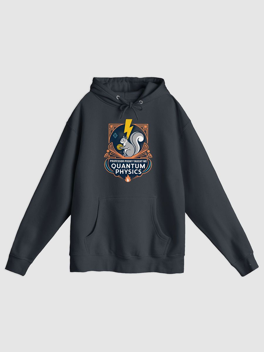 Premium, super soft Hoodie, Prpofessor Pooky Taught me Quantum Physics product image (1)