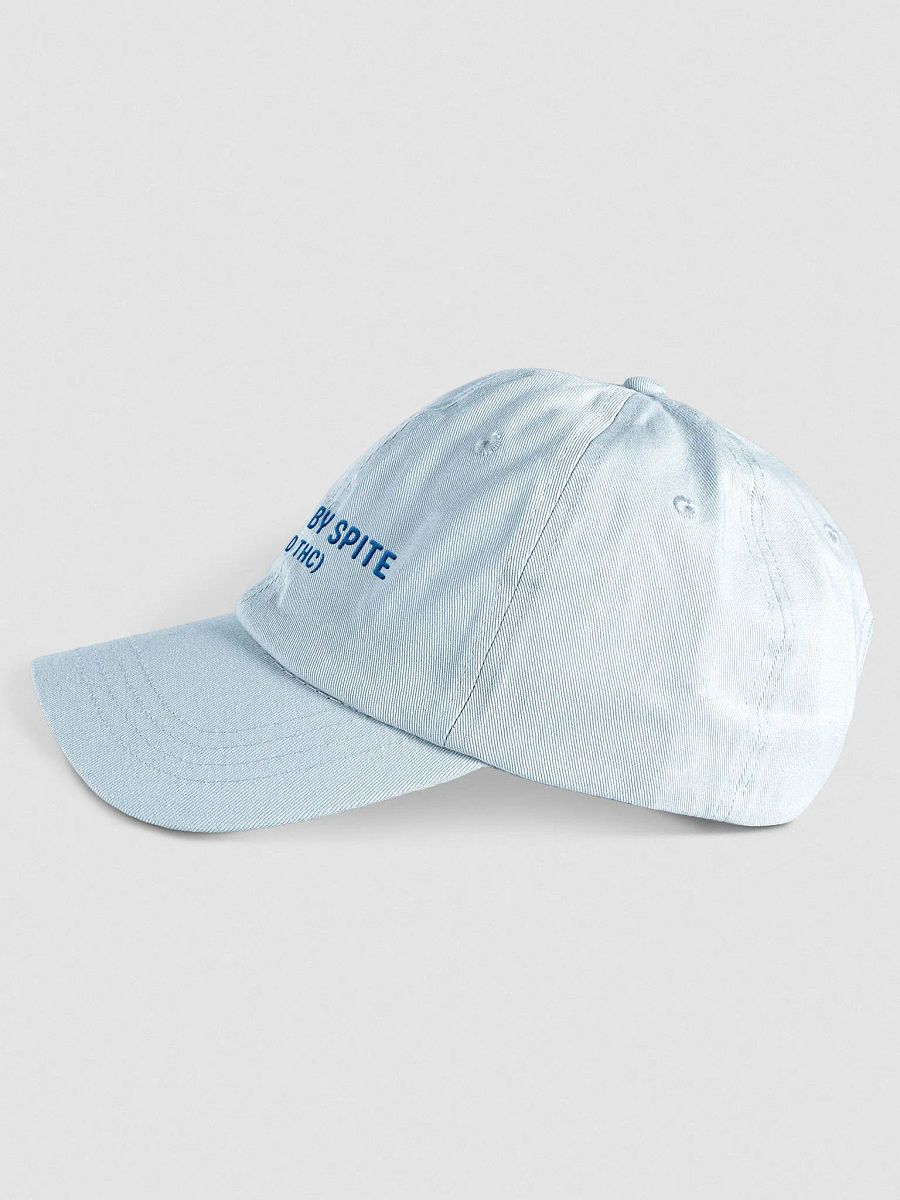 FUELED BY SPITE (blue thread) embroidered pastel dad hat product image (3)