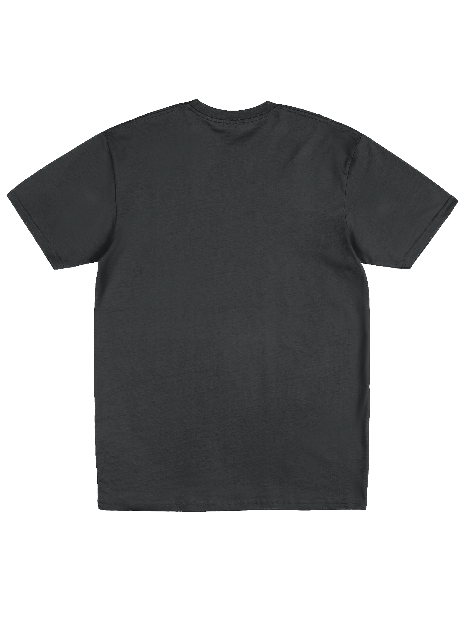 Berdathon 2025 T-Shirt product image (2)