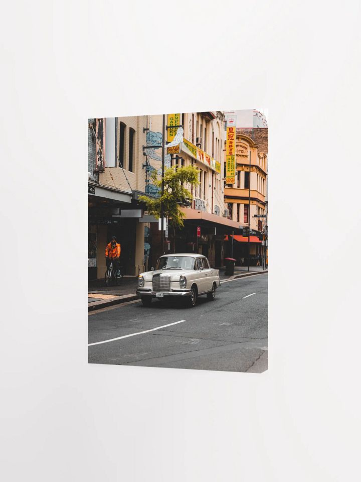 Mercedes-Benz 220SE Poster product image (4)