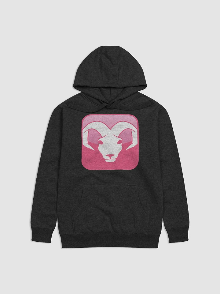 ARIES Hoodie product image (1)