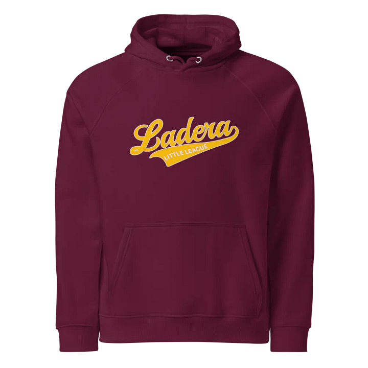 Classic Hoodie product image (1)