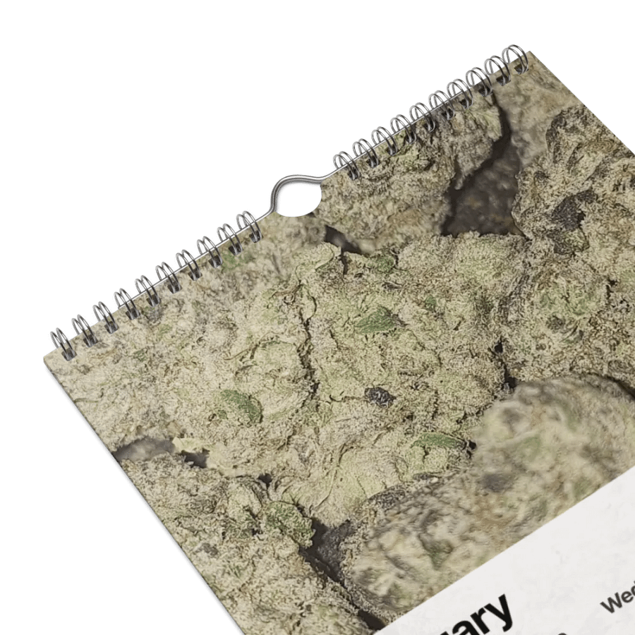 BRVG 2024 Calendar product image (16)