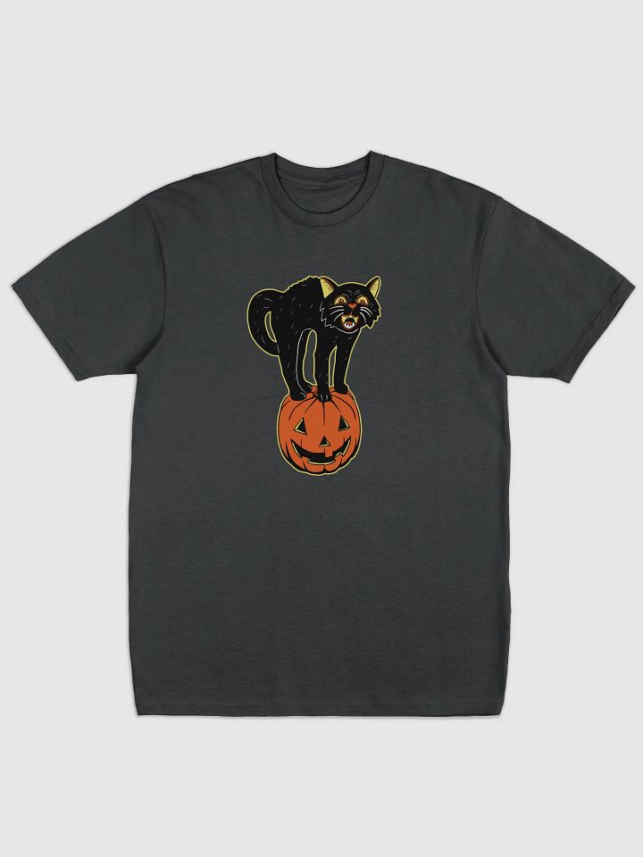 Retro Black Cat and Pumpkin product image (1)