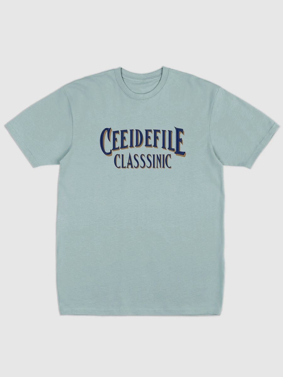 Celebrity Classic Men's Premium Tee product image (14)