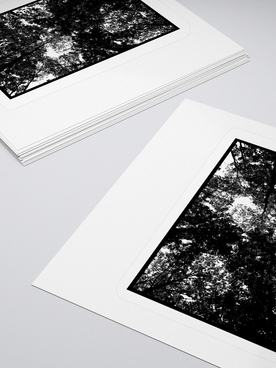 WINTER'S EVE - 'Arboretum of Solitude' Sticker product image (10)