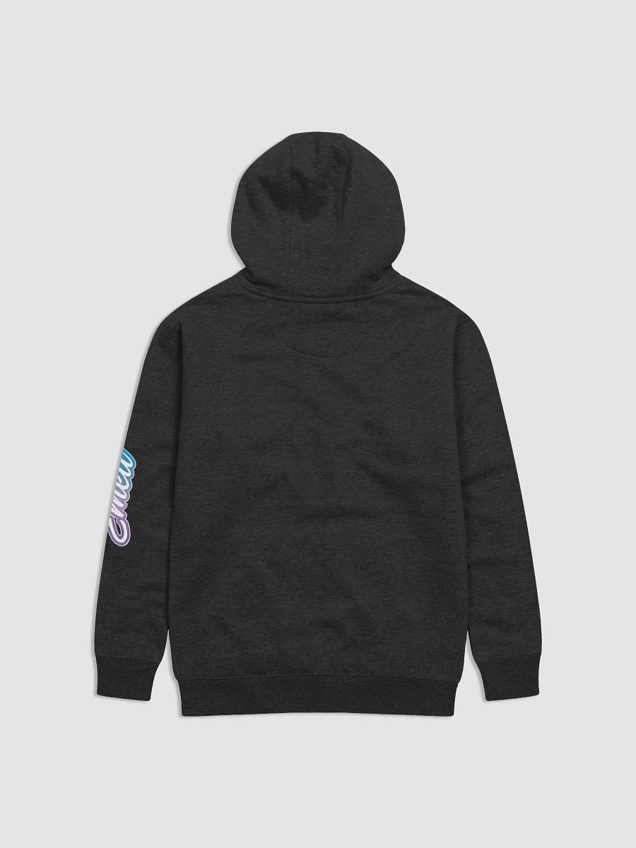 ''10/10'' Sweat à capuche premium unisexe product image (2)