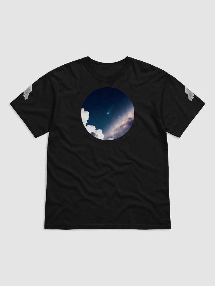 DO IT ALL Wings Comfort Heavyweight T-Shirt product image (7)