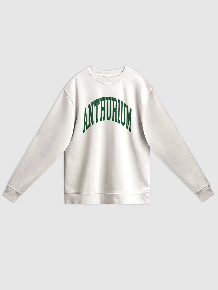 ANTHURIUM VARSITY - Midweight Pigment Dyed Sweatshirt product image (3)