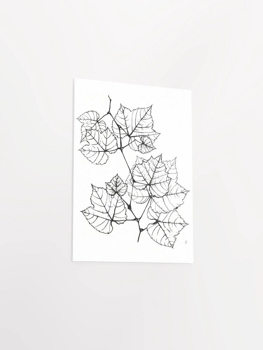 Veined Botanical Branch Matte Poster - Grape Leaves Elegant product image (3)
