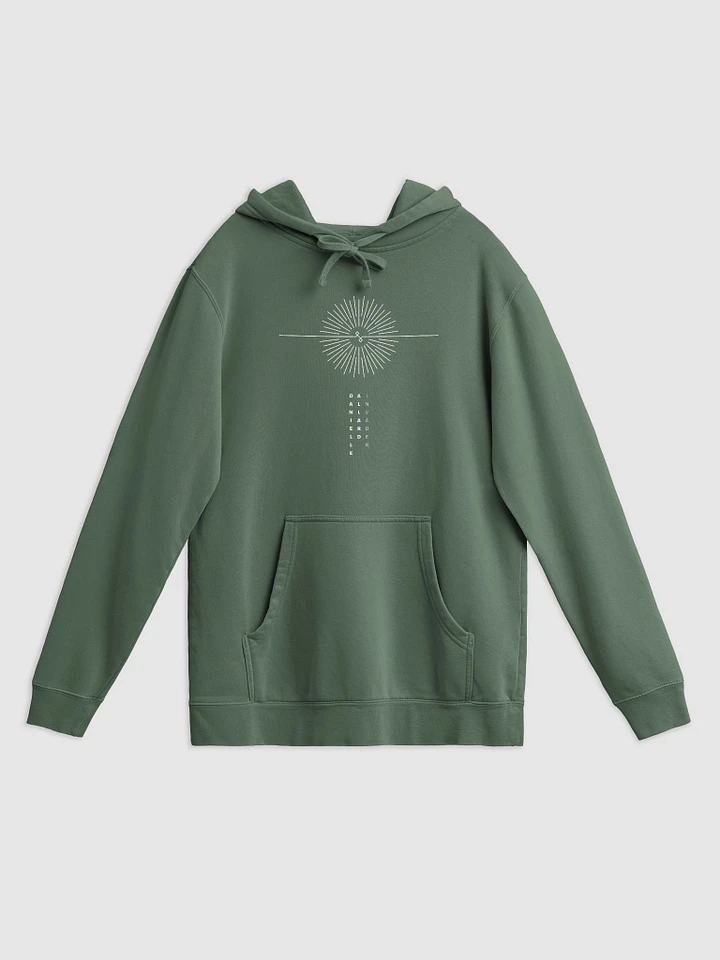 INVADER Art Premium Pigment Dyed Hoodie [Light] product image (1)