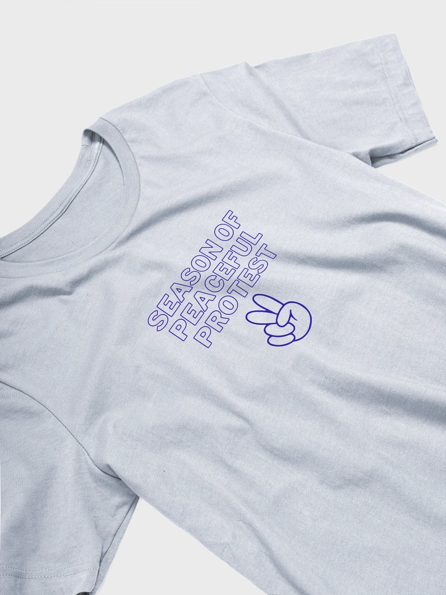 TMTS Season of Peaceful Protest product image (26)