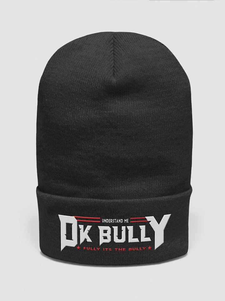 DK HAT (LD) WINTER product image (1)
