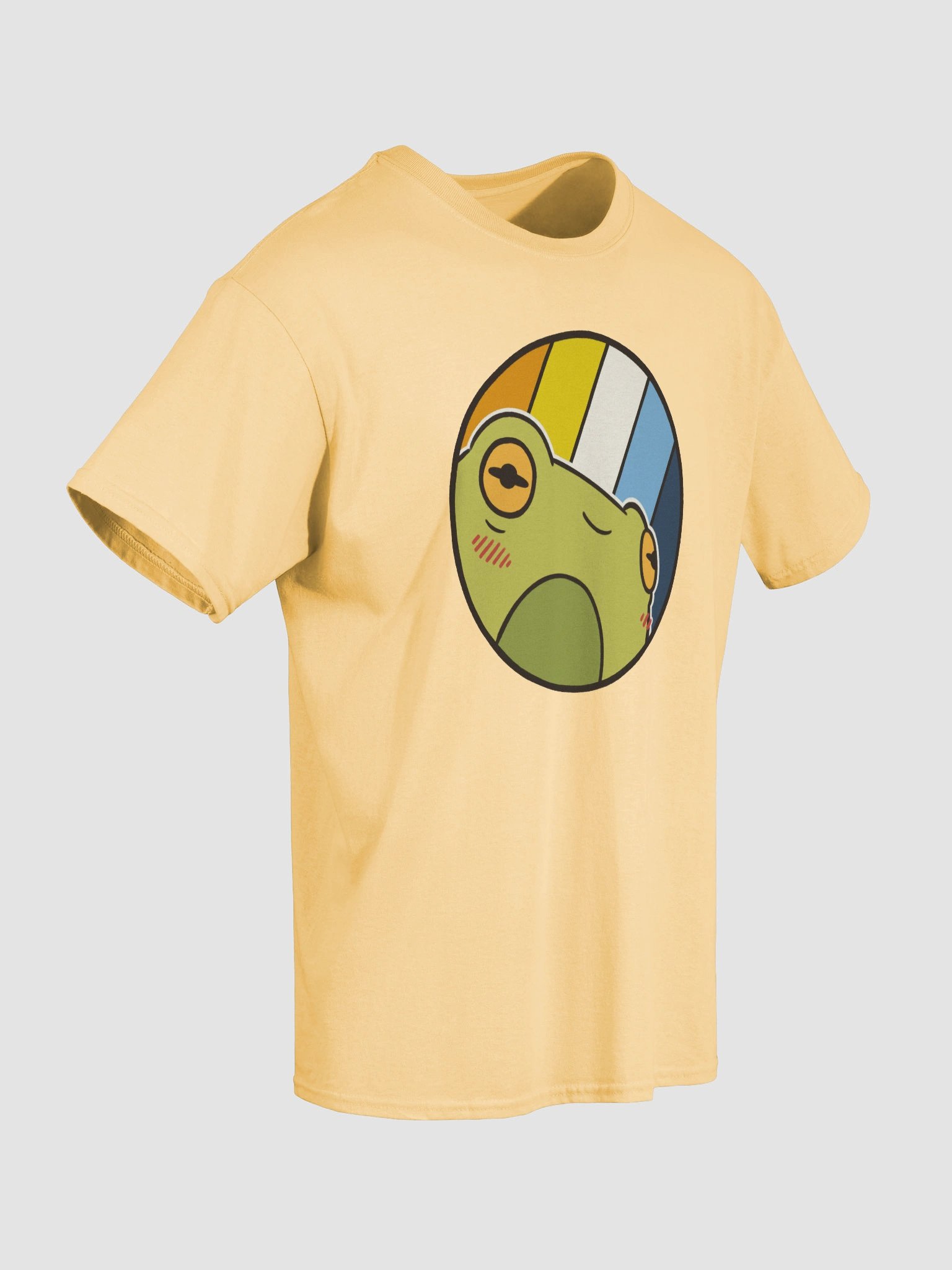 t-shirt : froge aroace product image (3)